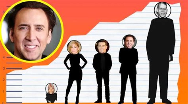 Nicolas Cage Height, Weight, Age, Body Statistics World Celebrity