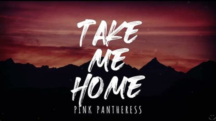 PinkPantheress Take me home Lyrics Genius Lyrics