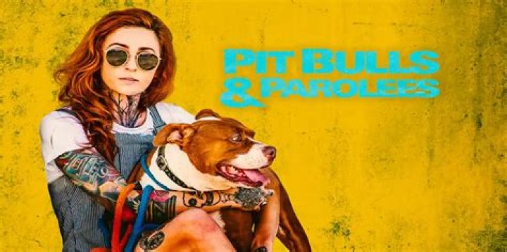 Pit Bulls and Parolees Watch Tia Pit bulls & parolees, Pitbull