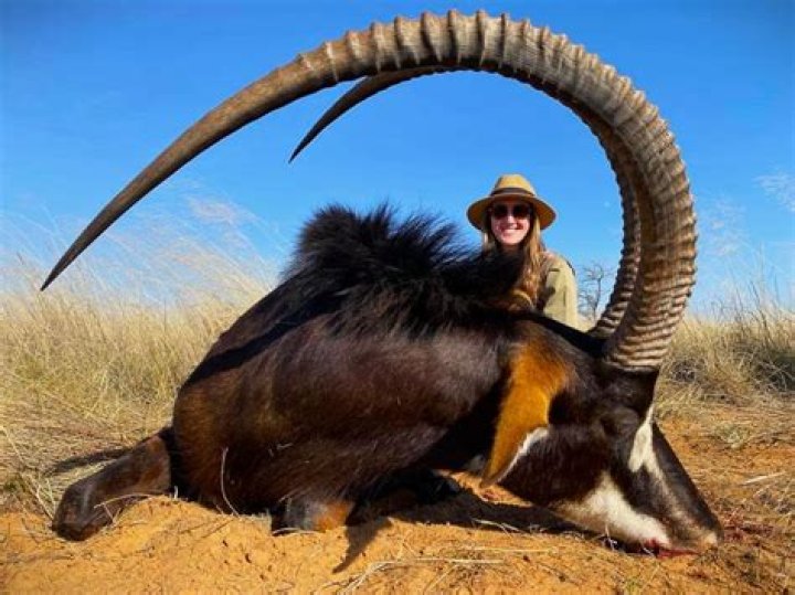 Plains Game Hunting In South Africa With KAROO WILD Safaris Page 4