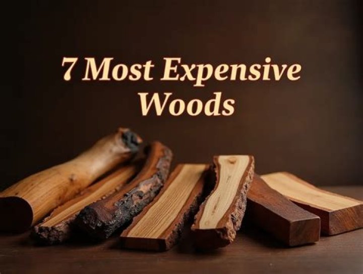 Precious Wood, the world's most expensive wood is a recent insert into