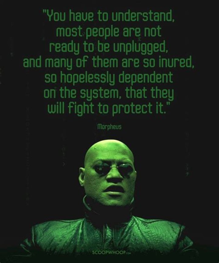 quotebot on Twitter in 2021 carlin, Carlin, Funny quotes