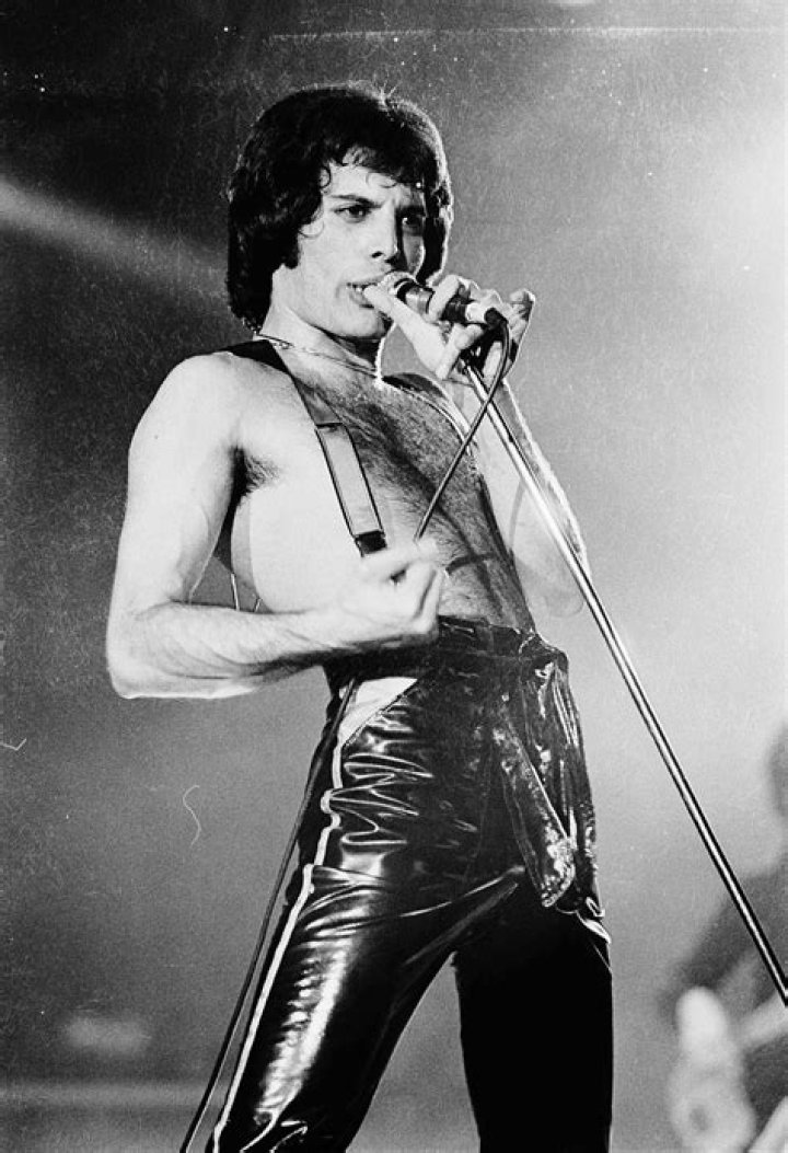 Rare Photos Of Freddie Mercury And His True Love Jim Hutton Flashbak
