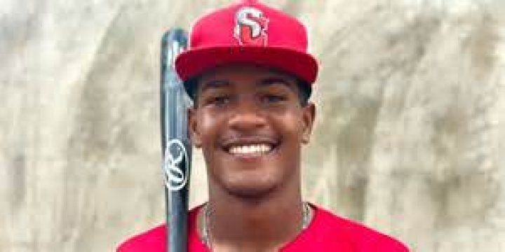 Rays 2024 international prospects signings