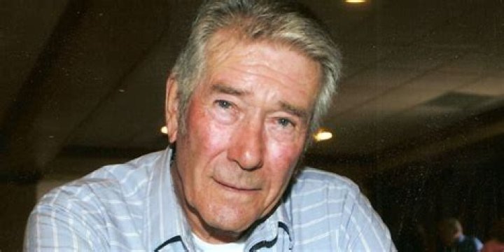 Robert Fuller Net Worth