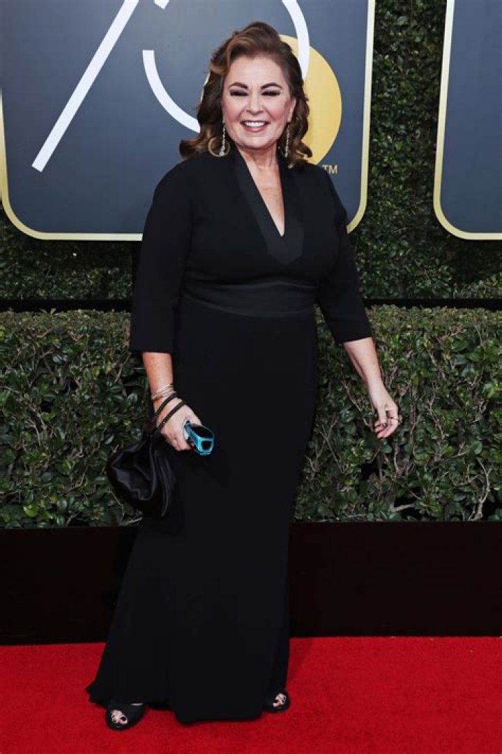 Roseanne Barr Net Worth A Comprehensive Analysis (2023) &mdash; HaiKhuu Trading