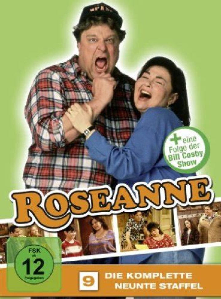 Roseanne Die komplette 9. Staffel (4 DVDs) Roseanne DVD www