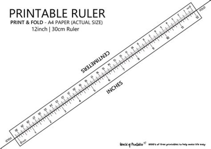 Ruler In Cm Printable