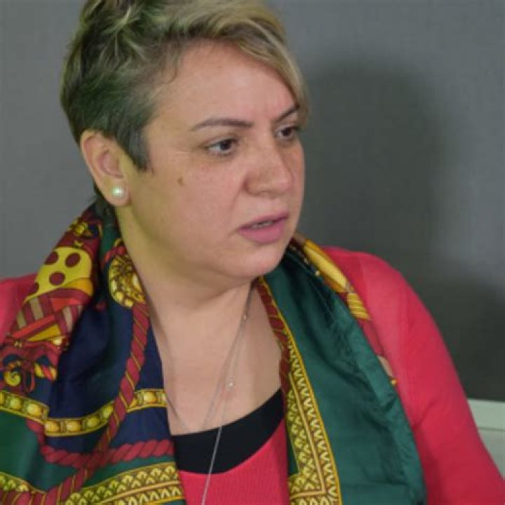 Sanae HANINE Professor Doctor of Management Research profile