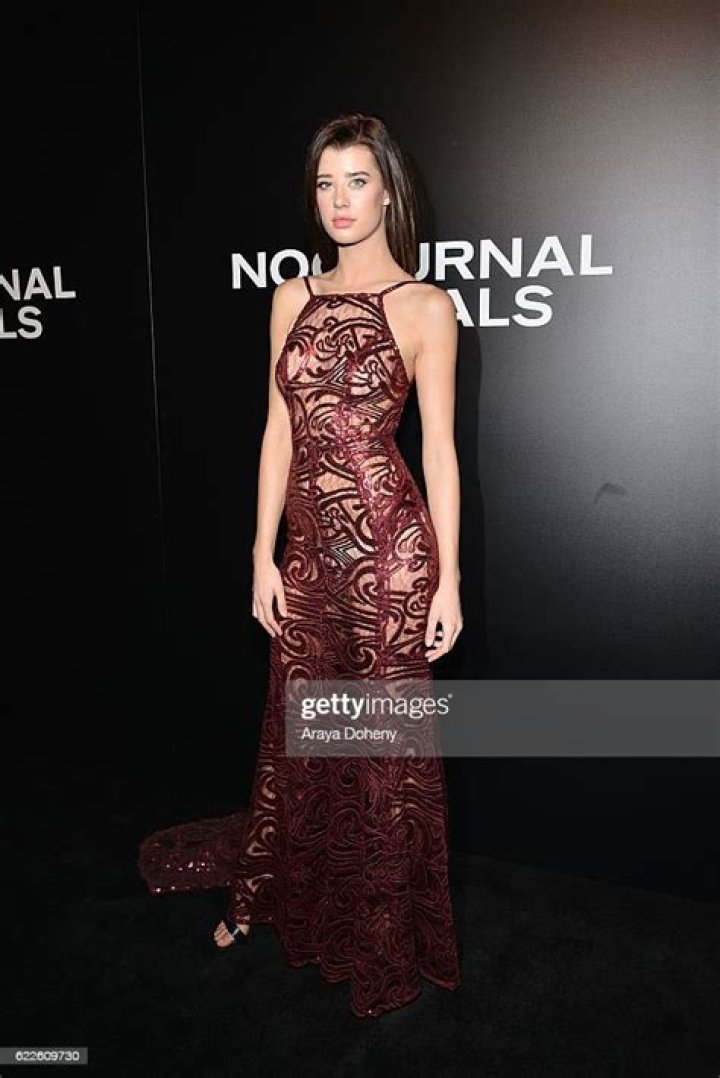 Sarah McDaniel Nocturnal Animals LA Premiere 07 GotCeleb