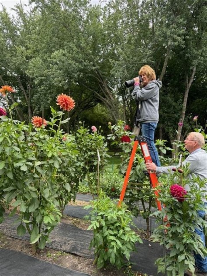 Second take with Diana Pierce Blue Cross MN
