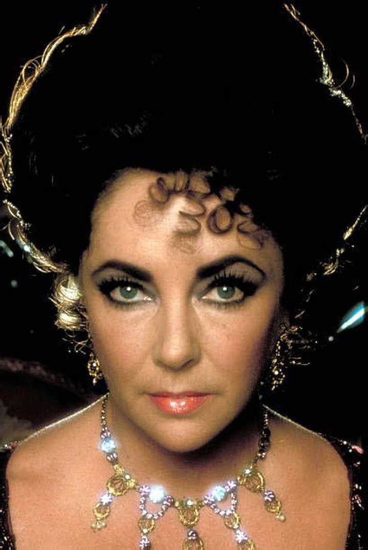 See Elizabeth Taylor's 14 Grandchildren and GreatGrandchildren Then