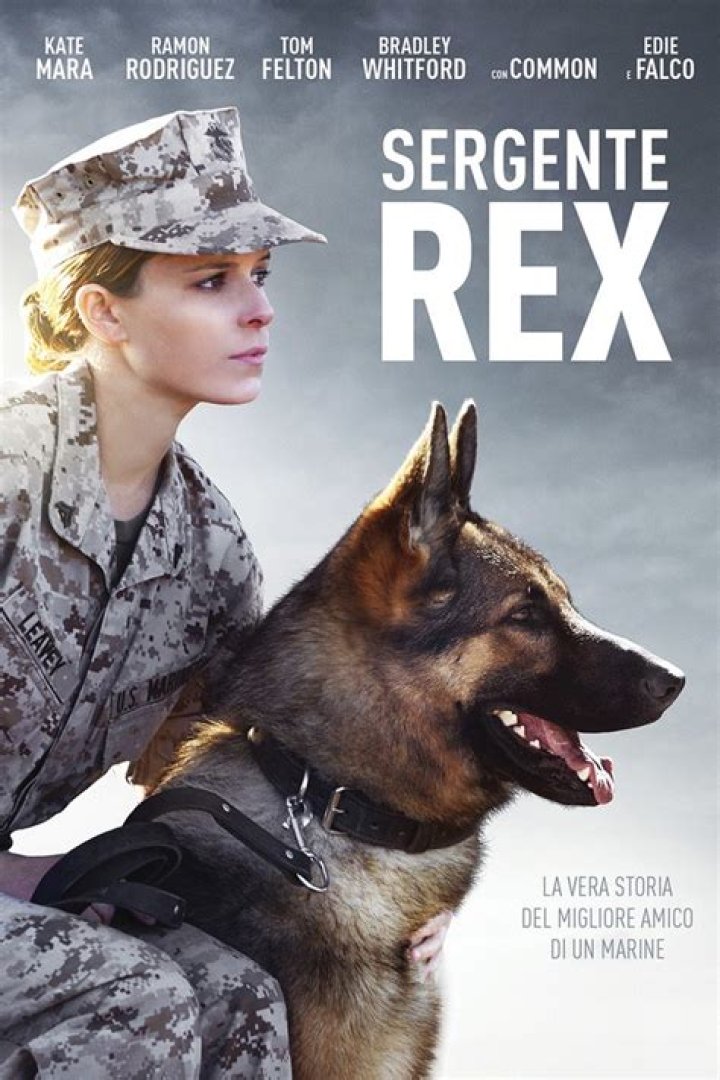 Sergente Rex Storia Vera Media Famosi