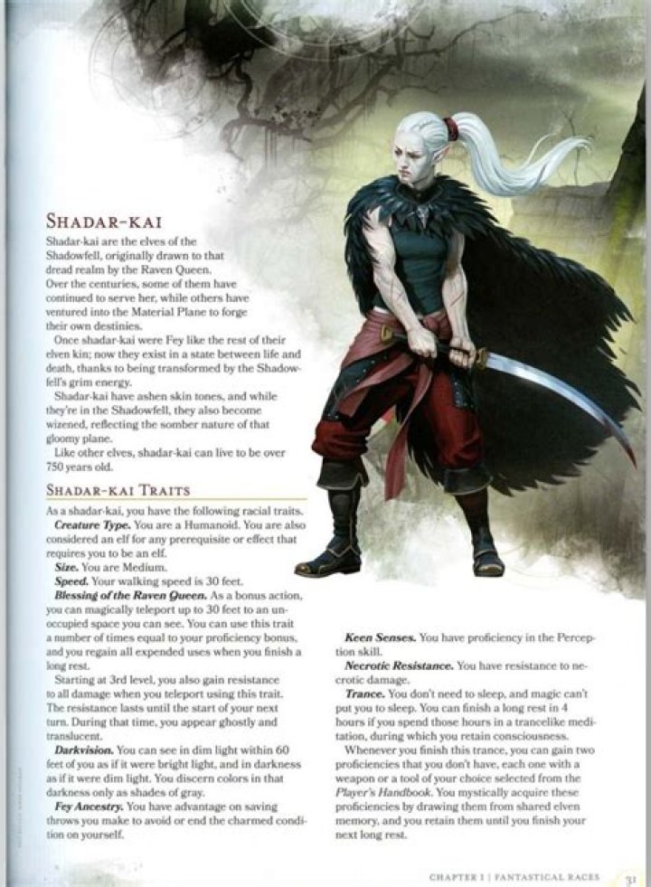 Shadarkai 5e Race Guides for Dungeons & Dragons 5th Edition Arcane Eye