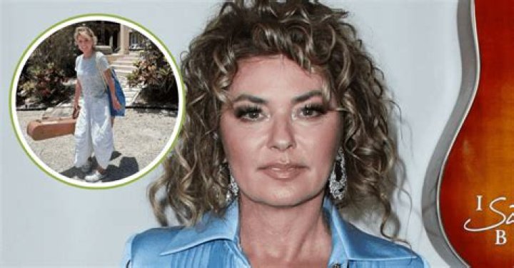 Shania Twain No Makeup Mugeek Vidalondon