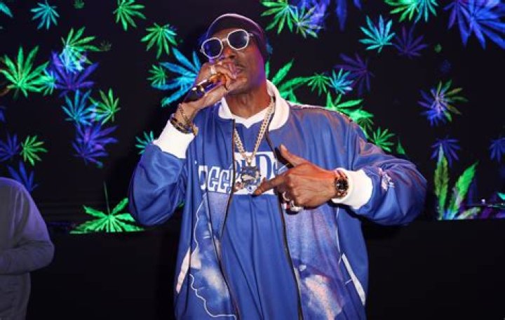 Snoop Dogg 2024 Tour Get Ready to Party with the Legend