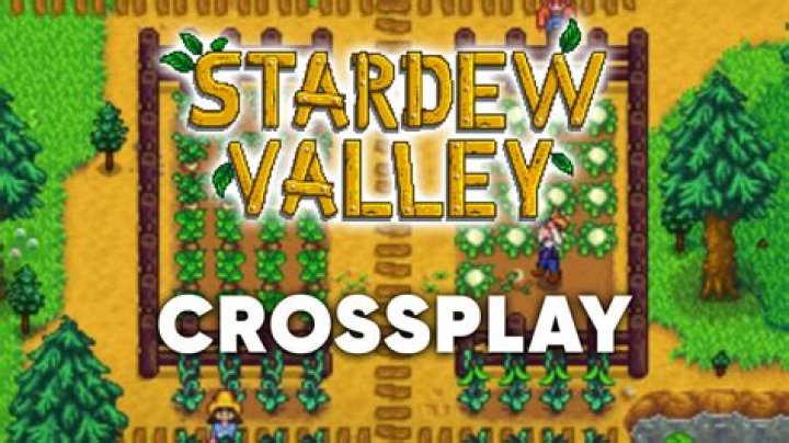 Stardew Valley Crossplay auf Switch, PC, PS4, PS5 und Xbox Series