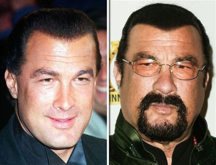 Steven Seagal Jack Whitehall costar famous for movies WOWS with 2017
