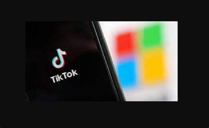 SW Meaning On TikTok &mdash; Explored BrunchVirals