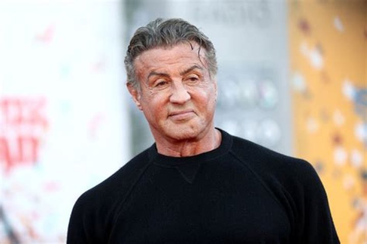 Sylvester Stallone American actors, Sylvester stallone, Sylvester