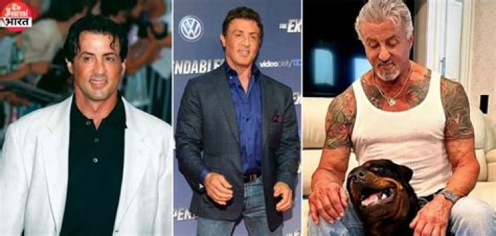 Sylvester Stallone Net Worth Celebrity Sizes