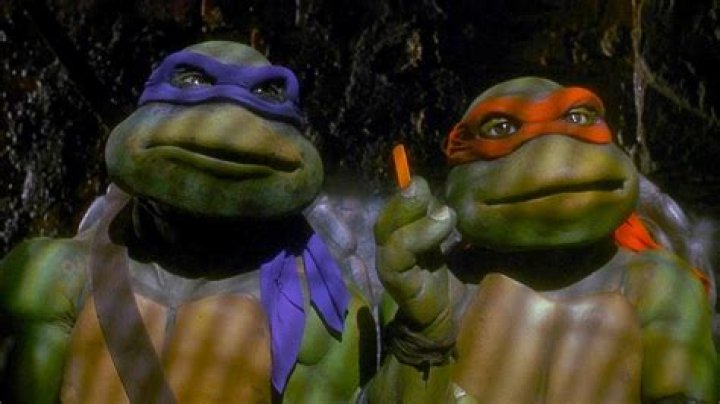 Teenage Mutant Ninja Turtles (1990) Posters &mdash; The Movie Database (TMDB)