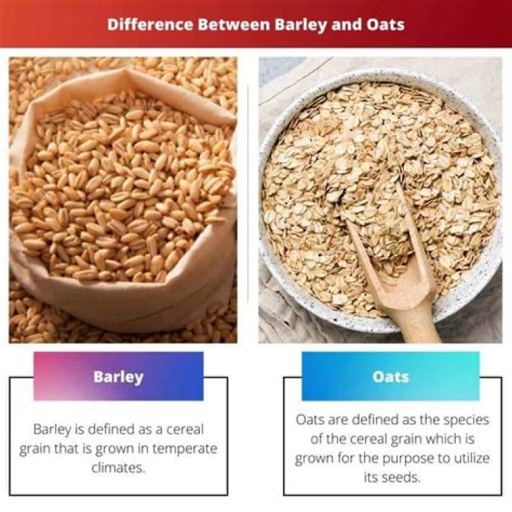 The Difference Between Our Oats Quaker Oats
