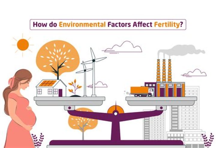 The Factors That Affect the Average Relationship Length Priscilla Milan