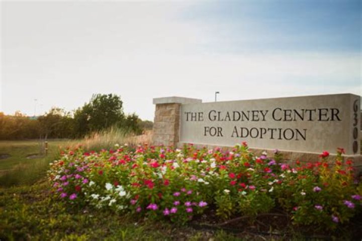 The Legacy Of Frances Gladney: Changing Adoption In America