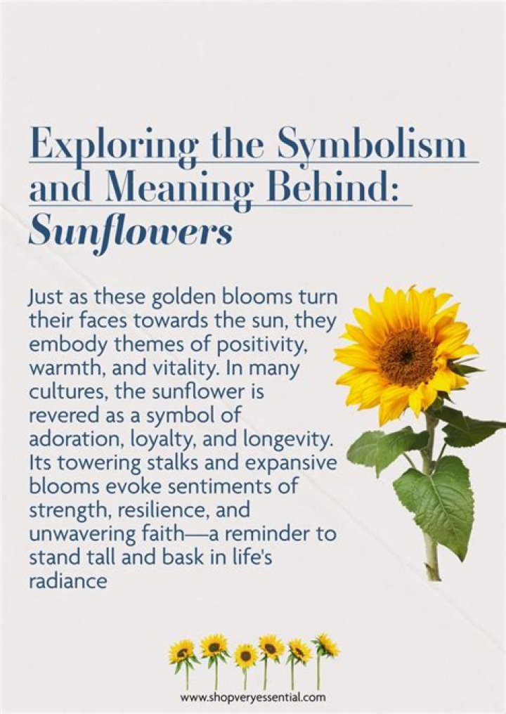 The Meaning of Sunflowers Symbolism, Significance, and Interpretations