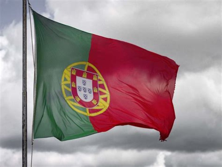 The Portuguese Political System
