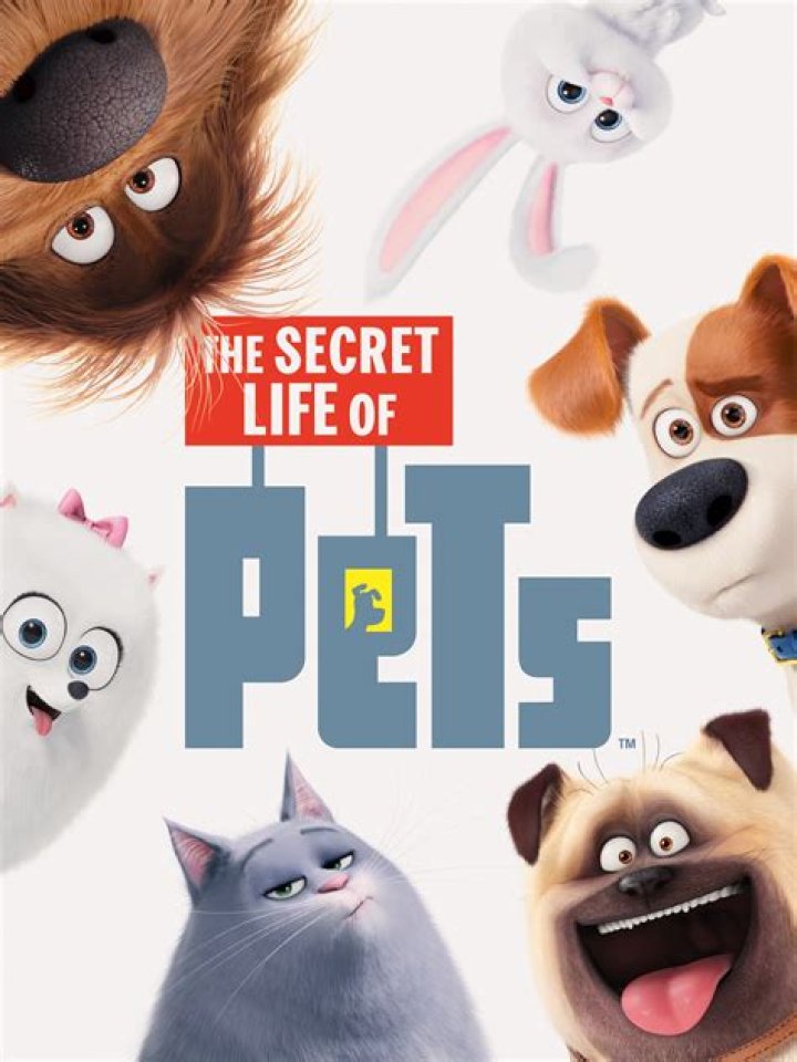 The Secret Life of Pets (2016) Posters &mdash; The Movie Database (TMDB)