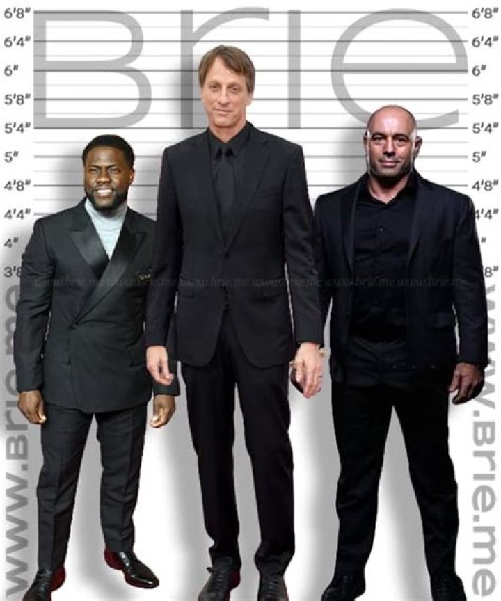 Tony Hawk Height Brie