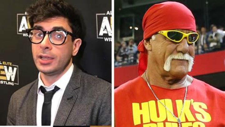 Tony Khan Bans Hulk Hogan From All AEW Events