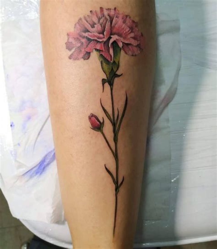 Top 33 Best Carnation Tattoo Ideas [2021 Inspiration Guide]