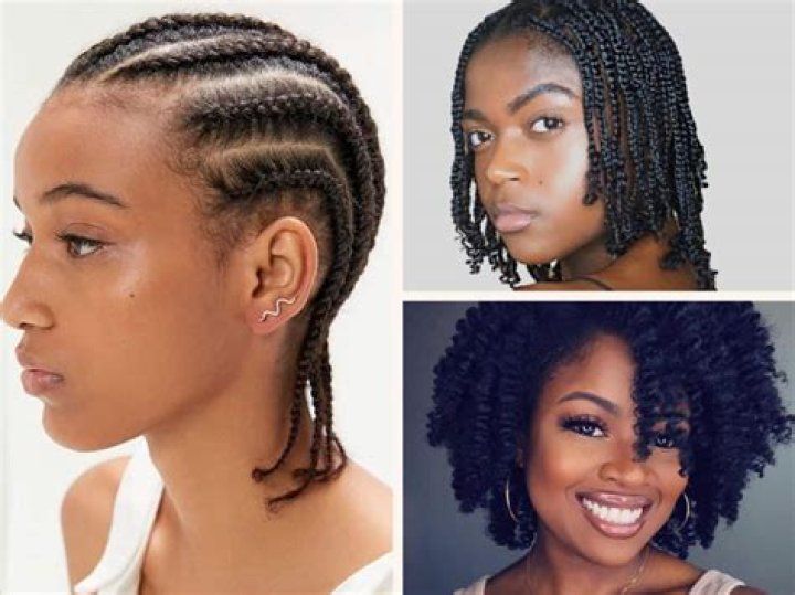 Ultimate Natural Braid Hairstyles For Black Hair: A Comprehensive Guide