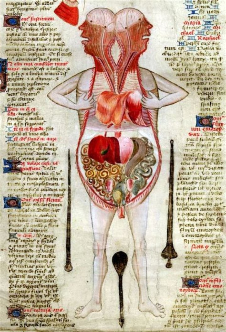 Unbelievable Tarrare Anatomy A Comprehensive Exploration