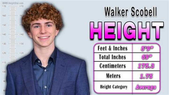 Uncovering The Height Of Rising Star: Walker Scobell