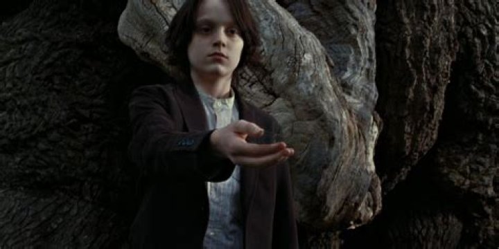 Unraveling The Mystery: Why Is Snape The Half-Blood Prince?