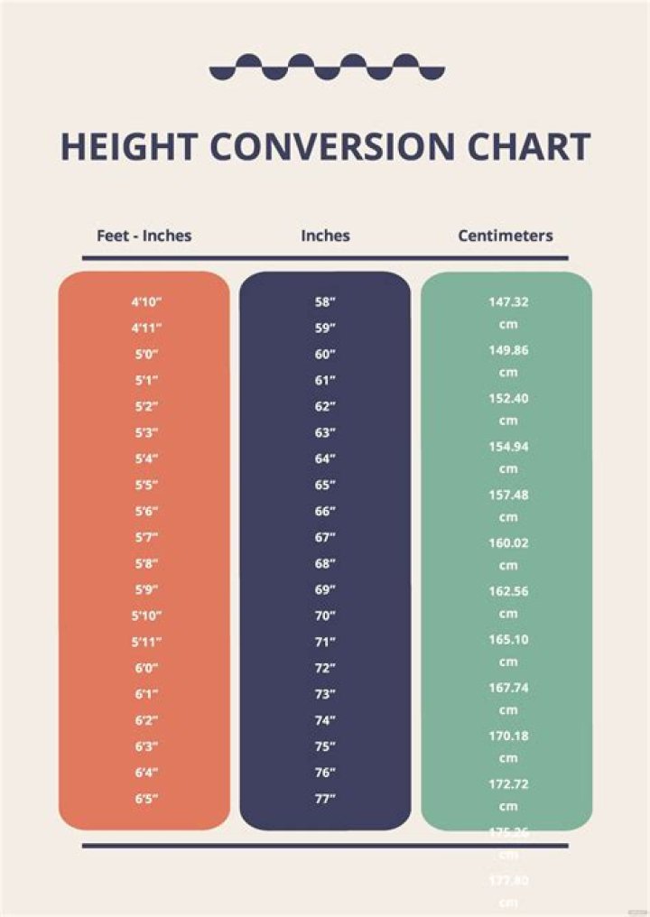Unveiling The True Height Of McGregor: The Fascinating World Of McGregor Visina