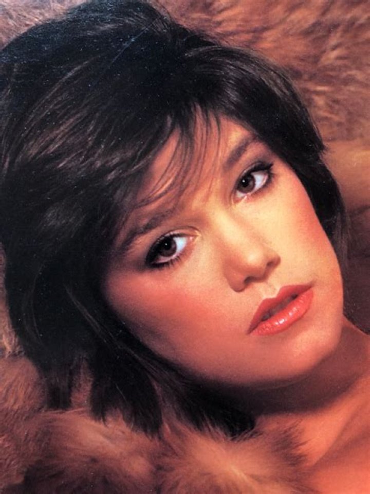 Vintage 1984 Miss February Justine Greiner Playboy Centerfold and