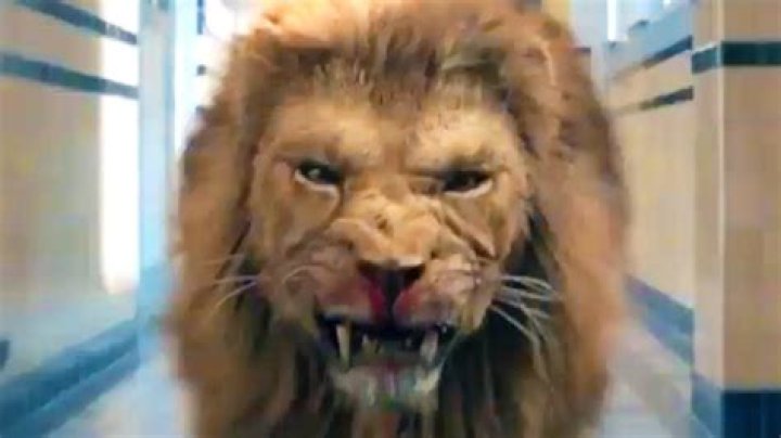 watch official trailer killer lion UNCAGED hollywood (2020) YouTube