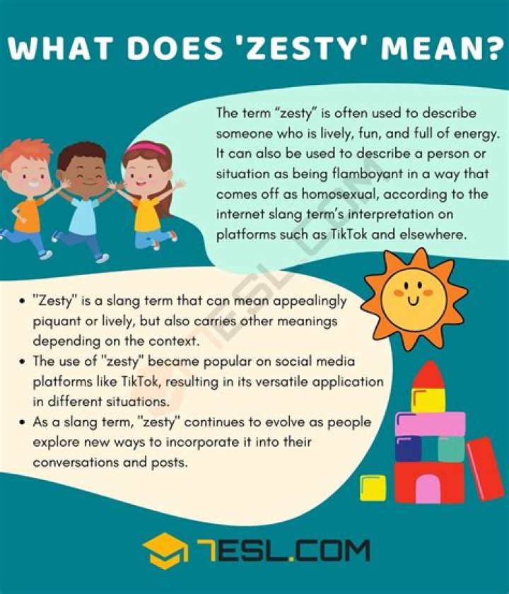 What does zesty mean short and simple explanation shortexplain 