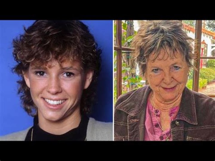 What happened to Kristy McNichol? Where is she now? Wiki
