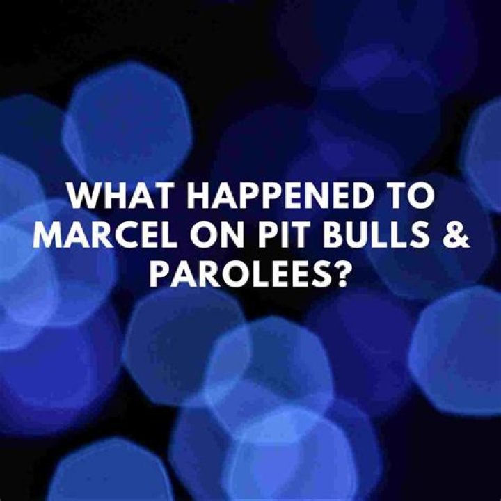 What happened to Marcel on Pitbulls and Parolees? Everything you should