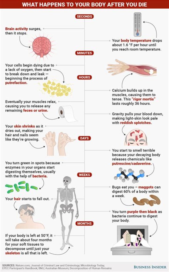 What Happens To Your Body When You Die [Science] Social News Daily