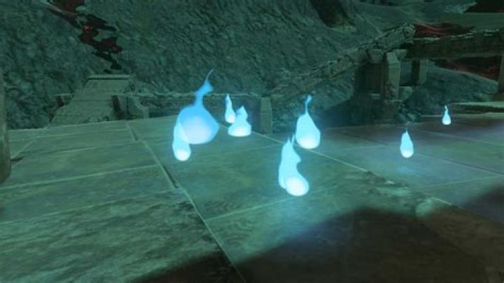 What to Do with Poes in Tears of the Kingdom Prima Games