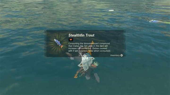 Where to find Stealthfin Trout in Zelda Breath of the Wild 🐟 YouTube