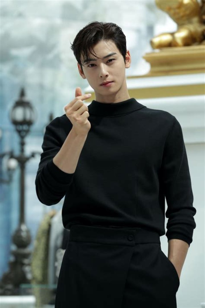 Who Is Cha Eun Woo Dating? Is The Star Dating CoStar Moon Ga Young?