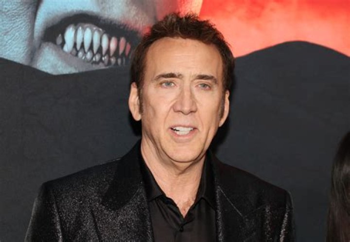 Who Is Nicolas Cage's 4Day Bride? All About Erika Koike